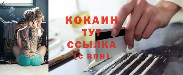 шишки Лихославль