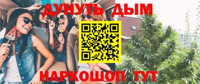 крисы Кимры