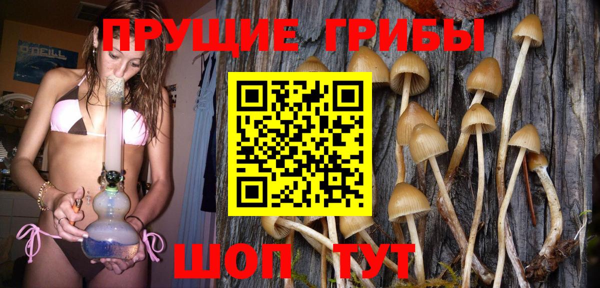 Галлюциногенные грибы Psilocybe  Усинск 